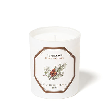 Cypress Scented Candle